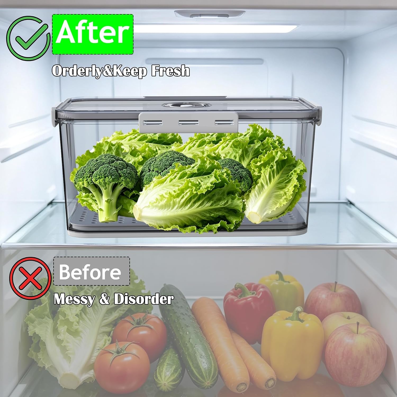 Clear Airtight Bread Box with Freshness Date Dial